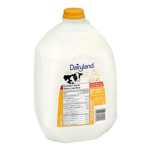 Dairyland Homo Milk 4L