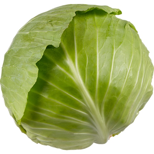 Green Cabbage