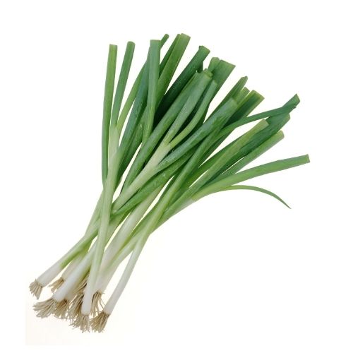 Fresh Green Onions